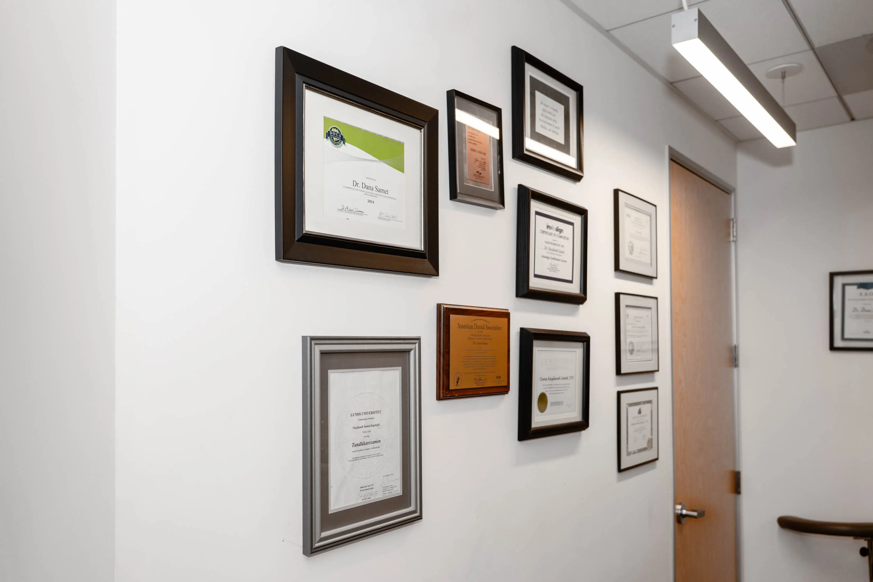 Wall with a variety of framed awards and certificates hanging on it, illuminated by lights from the ceiling